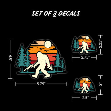 Sasquatch Forest
